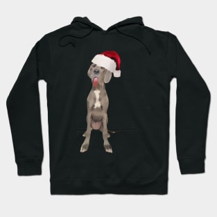 Funny Great Dane in Santa Hat Hoodie